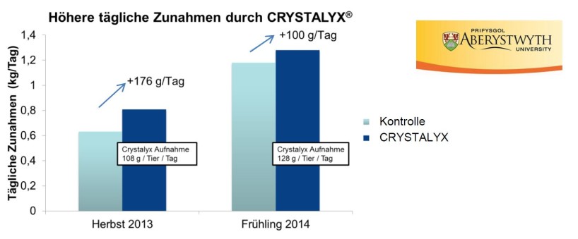Höhere tägliche Zunahmen durch Crystalyx